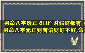 男命八字透正 🐺 财偏财都有（男命八字无正财有偏财好不好,命运怎么样）